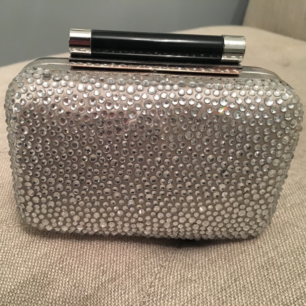 Beautiful evening clutch